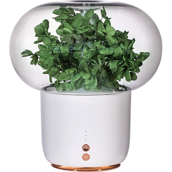 Flower Everlasting Flower Aroma Diffuser 3-in-1 Desktop Humidifier Night Light, 200ml Tank 12H Spray, 2H Timer