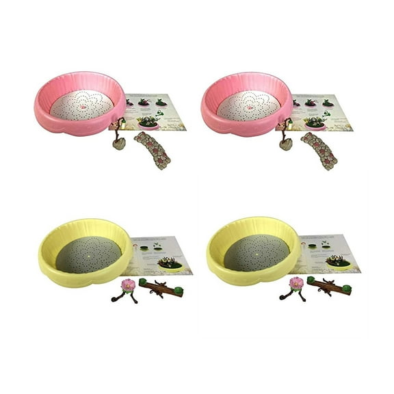 Flower Fairies Mixed Case Planter Kits For Garden, Bulk (Pack of 4)