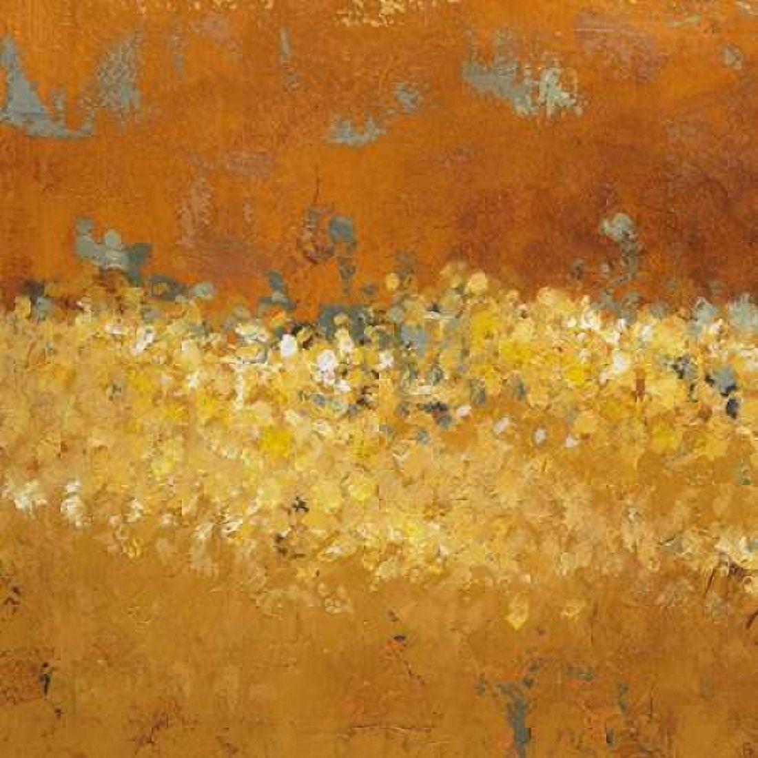 Flower Fields II Canvas Art - Lanie Loreth (24 x 24)