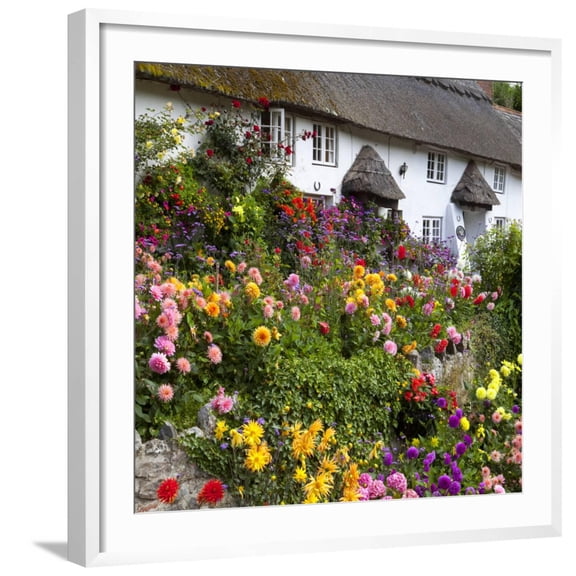 Art.com Flower Fronted Thatched Cottage, Devon, England, United Kingdom, Europe Photographic Print by Stuart Black, White Frame Wall Art, 29" x 29"
