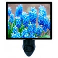 thumbnail image 1 of Night Light - Hyacinths. | Flower Garden Theme, Includes Free Switchable Insert, 4W Bulb, E12 Base, 1 of 2