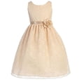 thumbnail image 1 of Flower Girl Dress Floral Lace Bridesmaid Dress for Little Girl Champagne 12 CA749, 1 of 1
