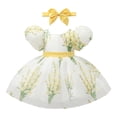 thumbnail image 1 of Flower Girls Dress Toddler Floral Sleeve Fairy Tale Dress Garden Party Puffed Sleeve Dress for Kids Dresses for Girls 12-18 Months, 1 of 9