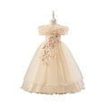 thumbnail image 1 of Flower Girls Tulle Dress - Cute Bow Tutu Dresses Bridesmaid Pageant Gown Birthday Party Dress, 1 of 5