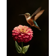 thumbnail image 1 of Flower Hummingbird Canvas Wall Art Home Decor for Living Room Bedroom Dining Room Hallway Office Kitchen, 1 of 8
