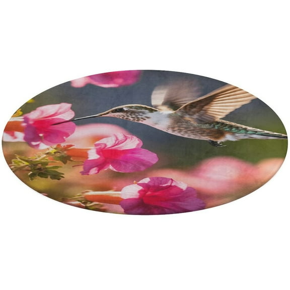 Flower Hummingbird Round Rugs -Washable Non-Slip Small Round Area Rug Throw Soft Circle Rugs for Bedroom, Modern Print Indoor Carpet for Entryway Sofa Living Room