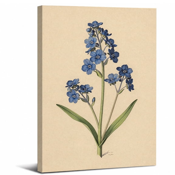 Flower Illustration Canvas Wall Art Framed Bathroom Decor,perfect for bathroom bedroom or living room decor beautiful wall artwork,8x12in