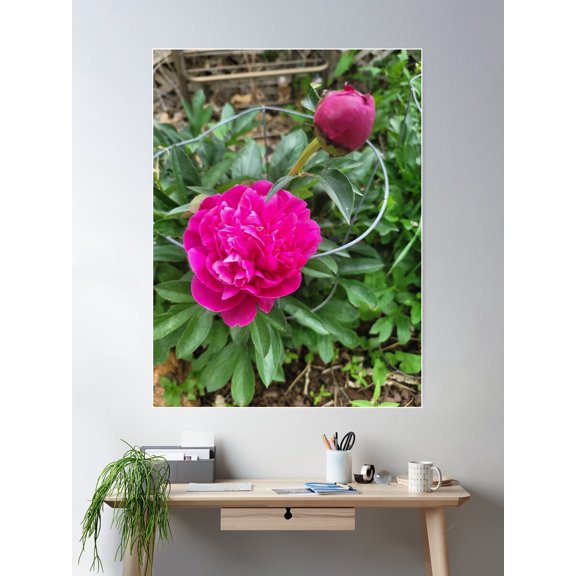 Flower In Our Yard Poster Wall Art, Modern Wall Decor For Living Room Bedroom, 8x12 UNFRAMED