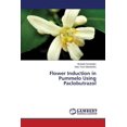 thumbnail image 1 of Flower Induction in Pummelo Using Paclobutrazol (Paperback), 1 of 1