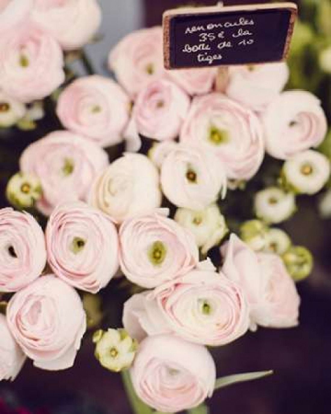Flower Market Canvas Art - Irene Suchocki (24 x 30)