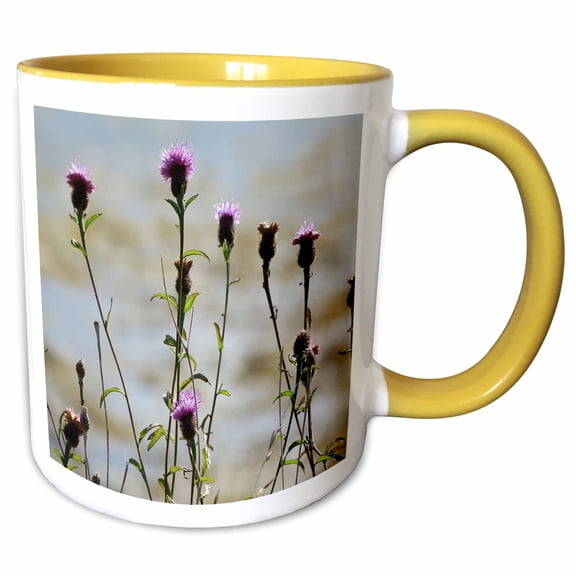 3drose, Flower of Scotland, Highlands of Scotland, 11oz Two-tone Yellow Mug