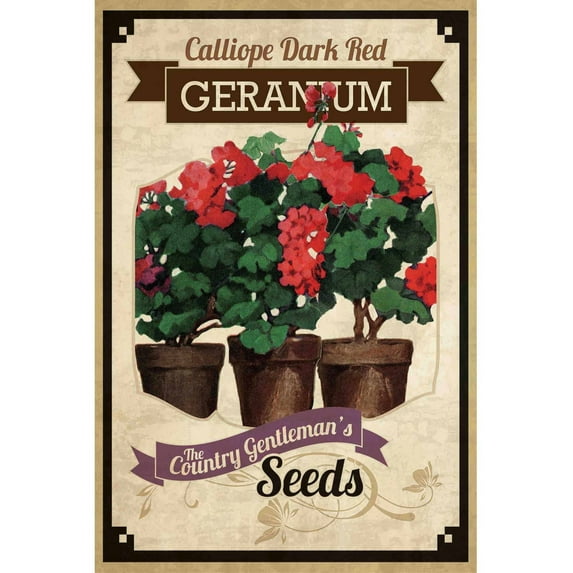 "Flower Packet Geranium" Painting Print on Canvas