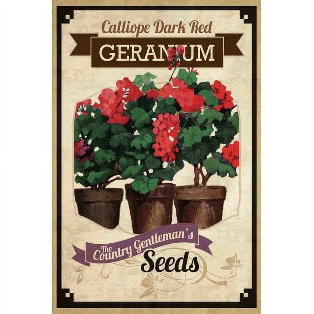 "Flower Packet Geranium" Painting Print on Canvas
