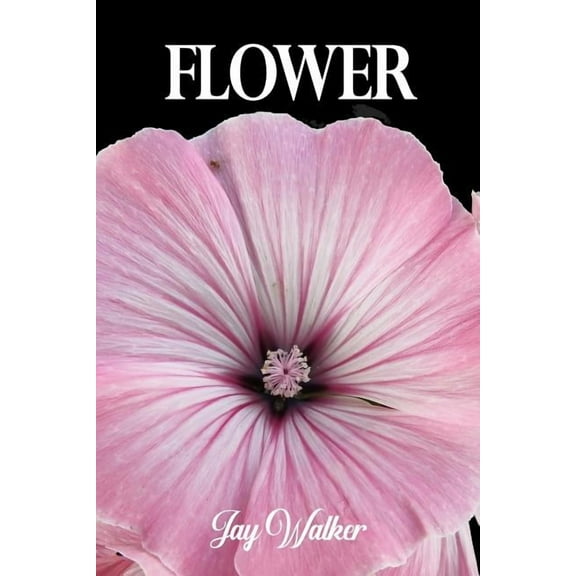 Flower, (Paperback)