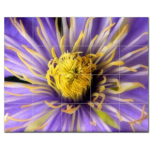 Flower Photo Ceramic Tile Mural Kitchen Backsplash Bathroom Shower, 404805-M54