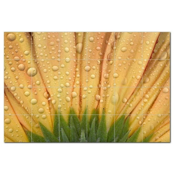 Flower Photo Ceramic Tile Mural Kitchen Backsplash Bathroom Shower, 404807-S64