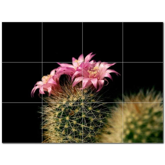 Flower Photo Ceramic Tile Mural Kitchen Backsplash Bathroom Shower 404812-XL43