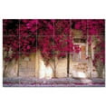 thumbnail image 1 of Flower Photo Ceramic Tile Mural Kitchen Backsplash Bathroom Shower, 404838-XL64, 1 of 3