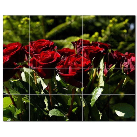 Flower Photo Ceramic Tile Mural Kitchen Backsplash Bathroom Shower, 404880-M54