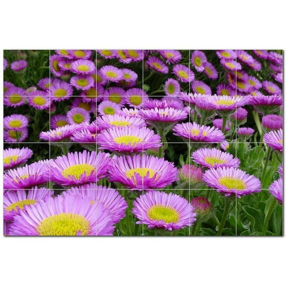 Flower Photo Ceramic Tile Mural Kitchen Backsplash Bathroom Shower, 404897-XL64