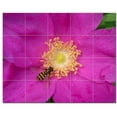 thumbnail image 1 of Flower Photo Ceramic Tile Mural Kitchen Backsplash Bathroom Shower, 404898-XL54, 1 of 3