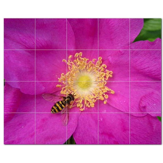 Flower Photo Ceramic Tile Mural Kitchen Backsplash Bathroom Shower, 404898-XL54