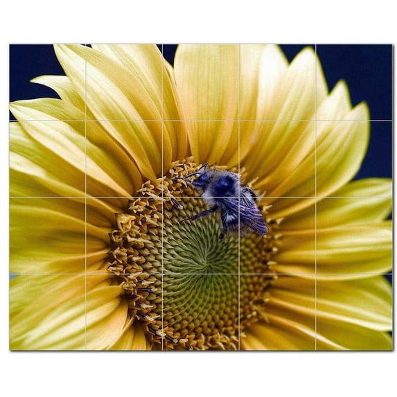 Flower Photo Ceramic Tile Mural Kitchen Backsplash Bathroom Shower, 404910-S54