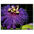 thumbnail image 1 of Flower Photo Ceramic Tile Mural Kitchen Backsplash Bathroom Shower, 404913-M54, 1 of 3