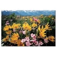 thumbnail image 1 of Flower Picture Ceramic Tile Mural Kitchen Backsplash Bathroom Shower, 404930-L64, 1 of 3