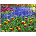 thumbnail image 1 of Flower Picture Ceramic Tile Mural Kitchen Backsplash Bathroom Shower, 404933-XL5, 1 of 3