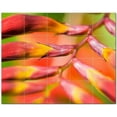 thumbnail image 1 of Flower Picture Ceramic Tile Mural Kitchen Backsplash Bathroom Shower, 404938-S54, 1 of 3