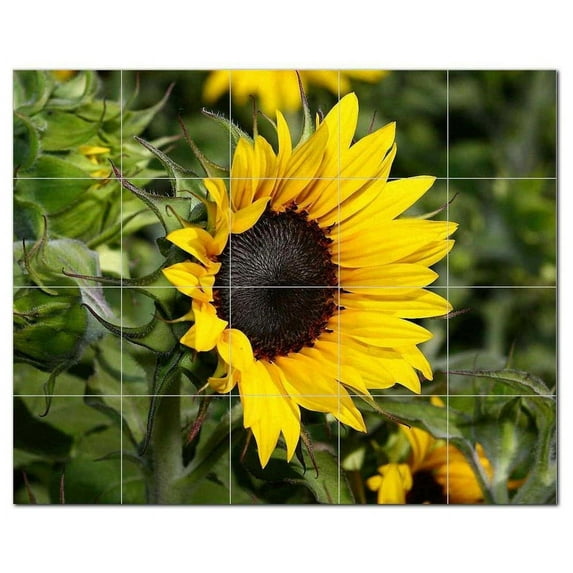 Flower Picture Ceramic Tile Mural Kitchen Backsplash Bathroom Shower, 405001-L54