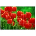 thumbnail image 1 of Flower Picture Ceramic Tile Mural Kitchen Backsplash Bathroom Shower, 405023-XL6, 1 of 3