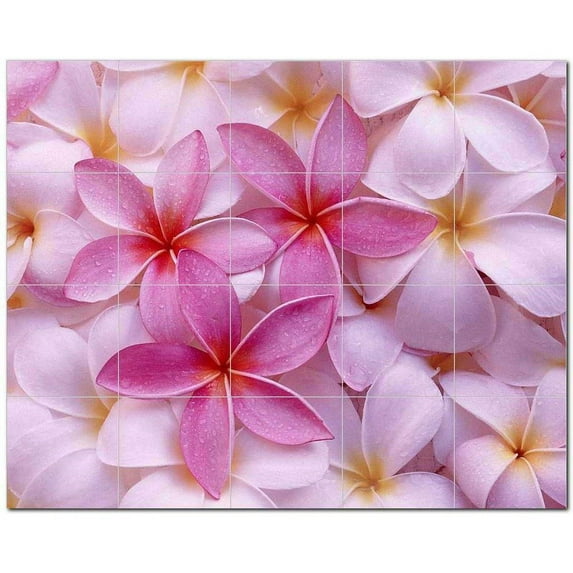 Flower Picture Ceramic Tile Mural Kitchen Backsplash Bathroom Shower, 405025-S54