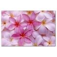 thumbnail image 1 of Flower Picture Ceramic Tile Mural Kitchen Backsplash Bathroom Shower, 405025-S64, 1 of 3