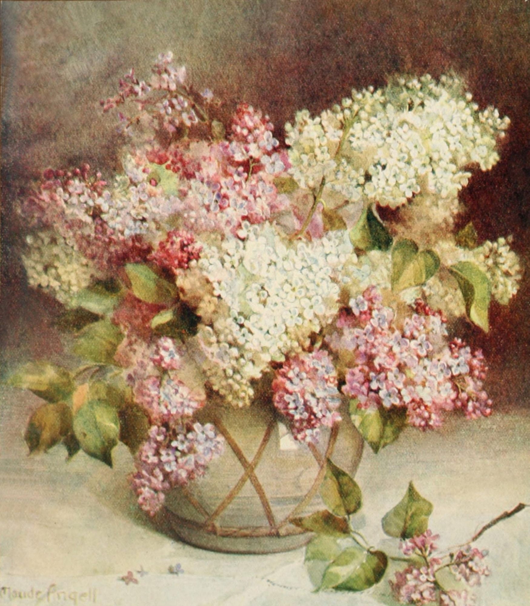 Flower Pictures 1914 Apple Blossom Canvas Art - Maude Angell (18 x 24)