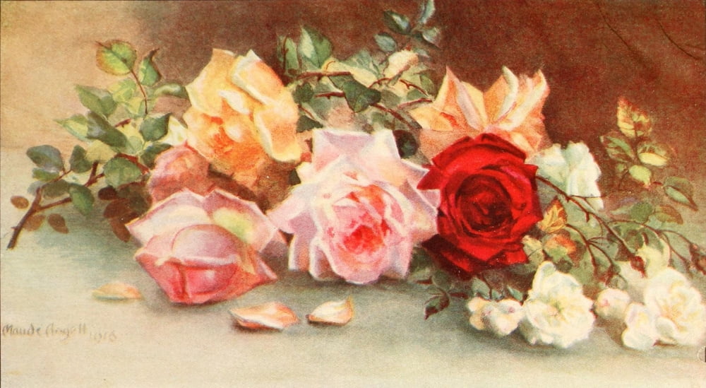 Flower Pictures 1914 Cut roses Canvas Art - Maude Angell (24 x 36)