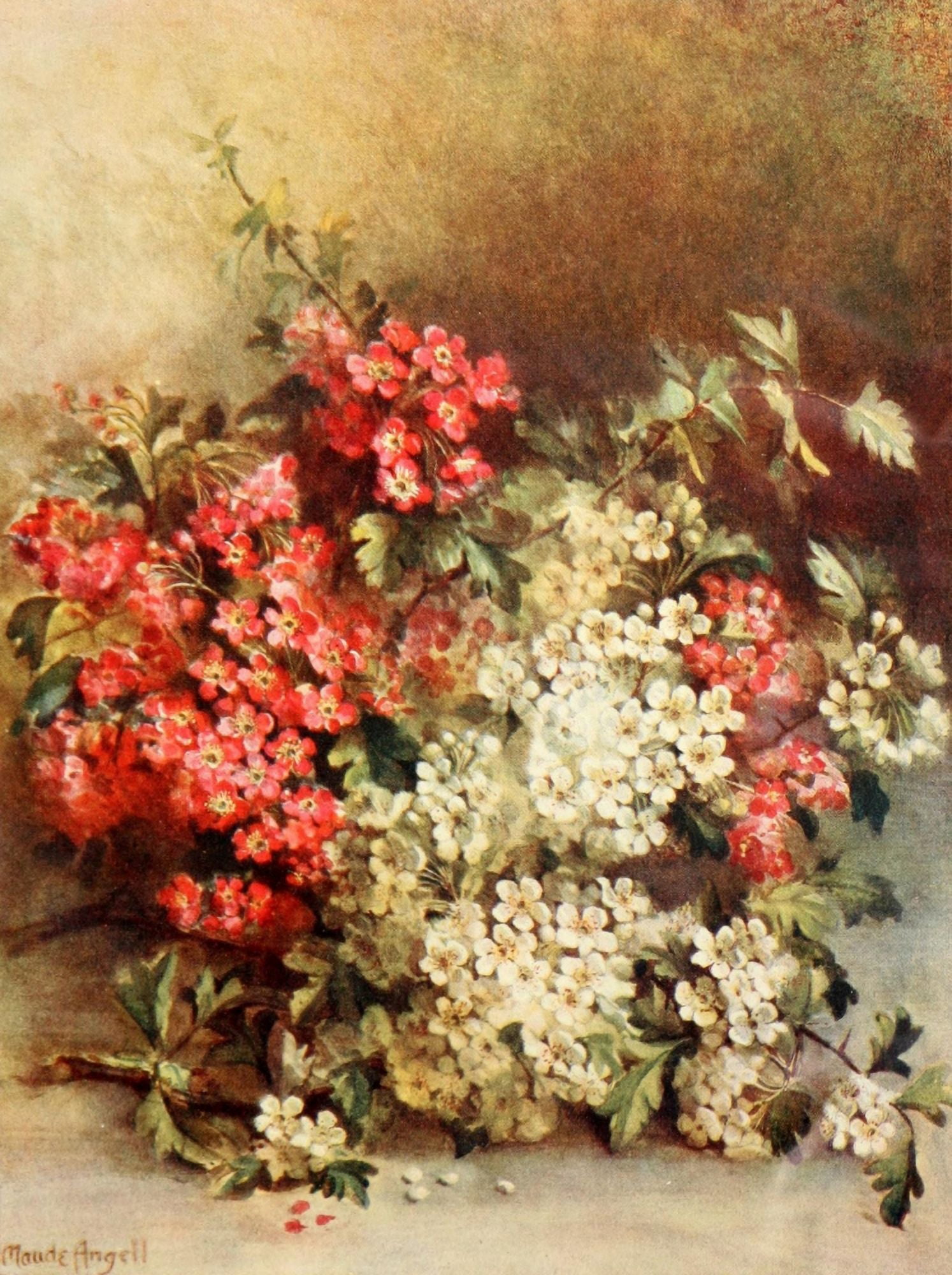 Flower Pictures 1914 Cut shrubs Canvas Art - Maude Angell (18 x 24)