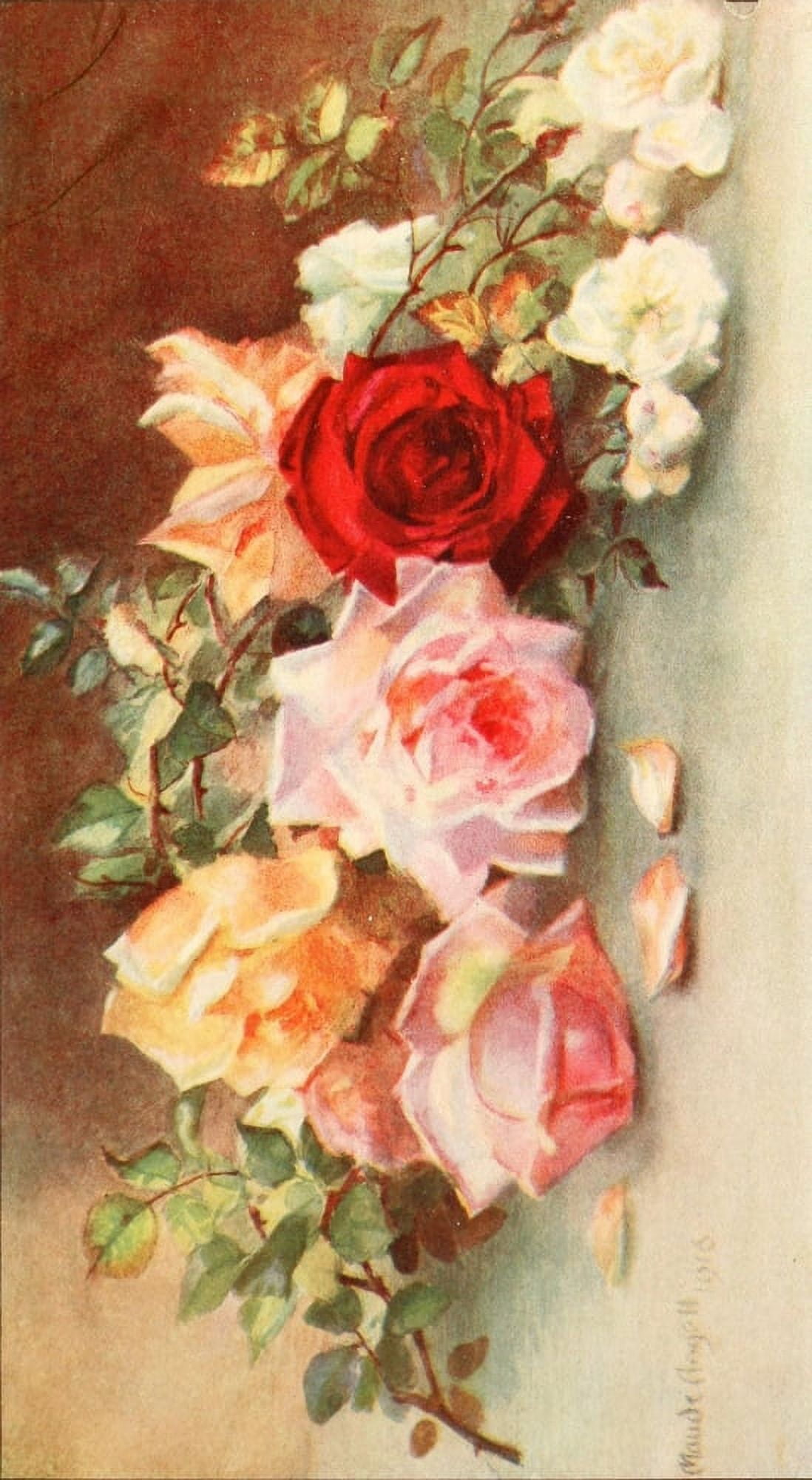 Flower Pictures 1914 Roses Canvas Art - Maude Angell (18 x 24)