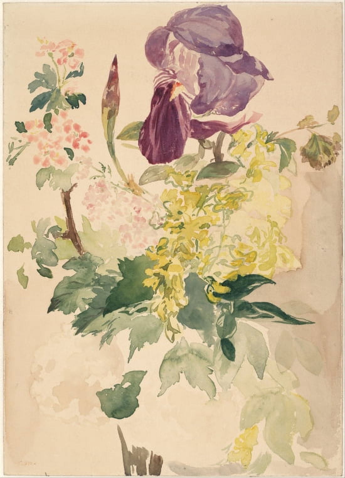 Flower Piece With Iris Laburnum And Geranium 1880 Canvas Art - Edouard Manet (24 x 36)