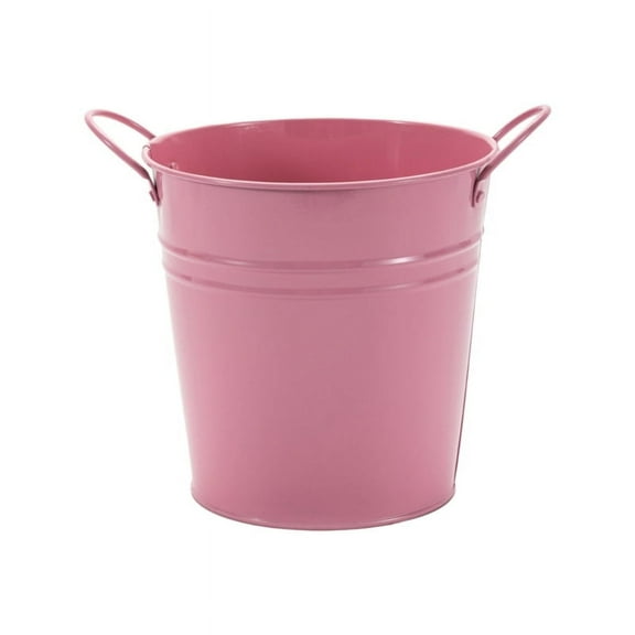 Flower Plant Pots Binaural Iron Potted Hanging Planter Outdoor Flowerpots Basket Bucket Vase Compatible for Food Snacks