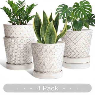 BUYMAX White Ceramic Plant Pots with Drainage and Trays, 5 Inch Small Flower Pots for Indoor Plants, Set of 4