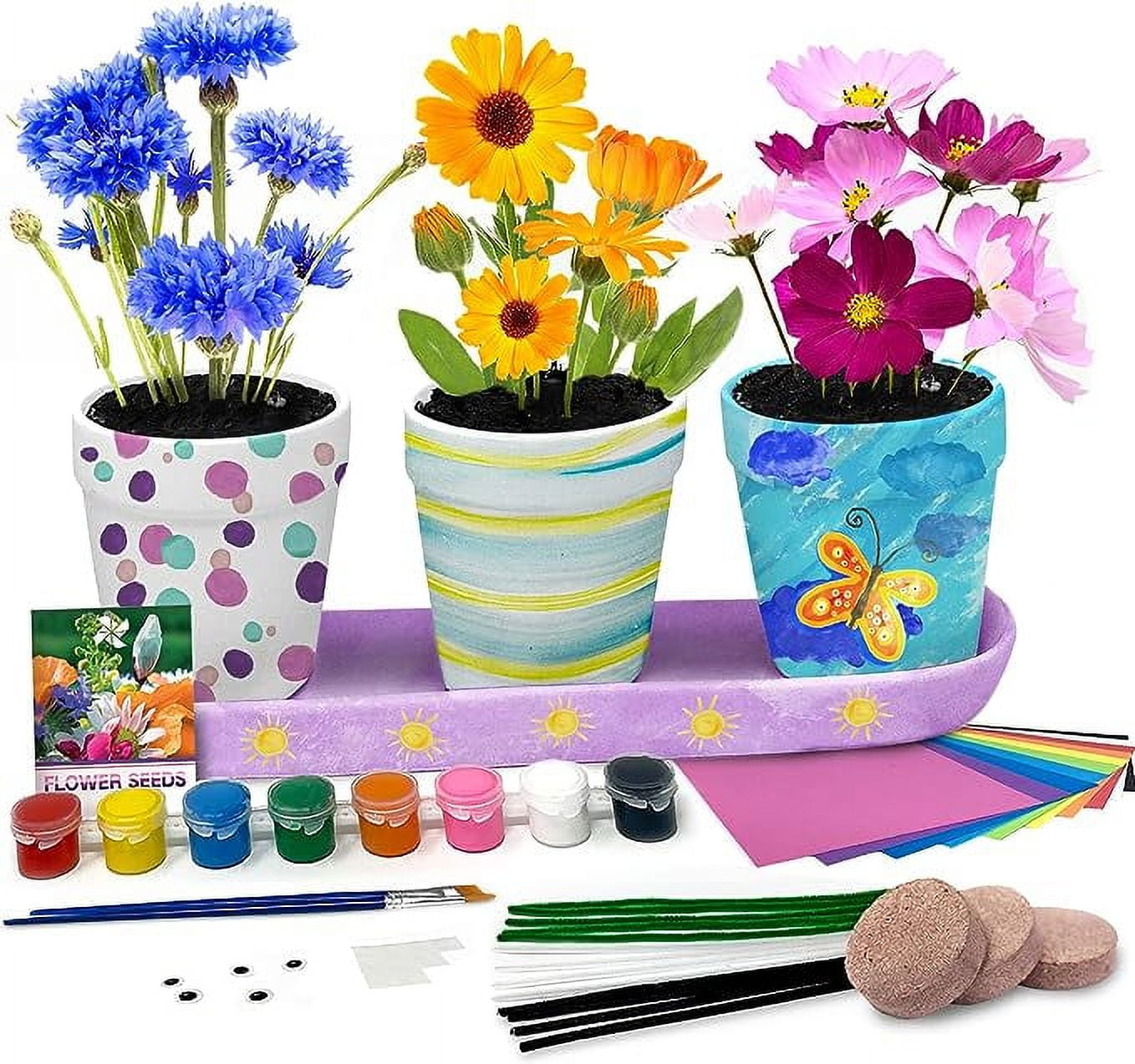 Flower Pot Painting Kit with Flower Seeds for Kids Complete Growing