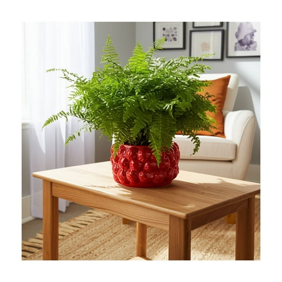 Flower Pot and Planter for Home Decor - Cheerful Plant Pots Perfect for Indoor or Outdoor Herbs, Ferns, or Succulents - Modern Pots for Indoor Plant Stands Great for Garden and Patio Decor - 5" Red