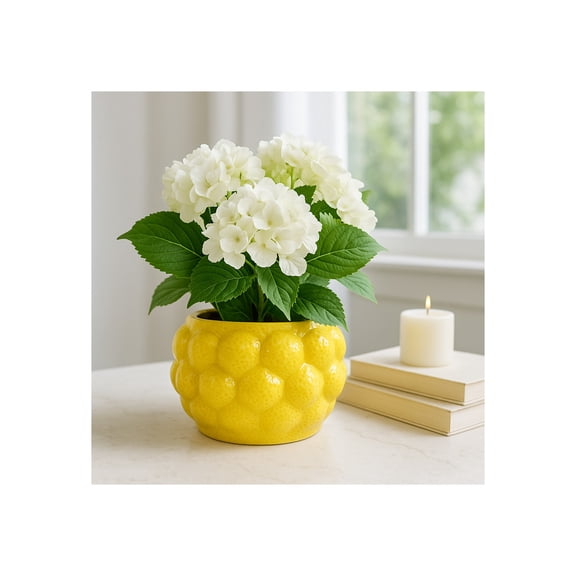 Flower Pot and Planter for Home Decor - Cheerful Plant Pots for Indoor or Outdoor Herbs, Ferns, or Succulents - Modern Pots for Indoor Plant Stands Great for Garden and Patio Decor - 5" Yellow