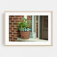 thumbnail image 1 of Flower Pot, Sunset Park - Brooklyn New York Photography Oak Framed Wall Art Print 24 x 36 inches, 1 of 6