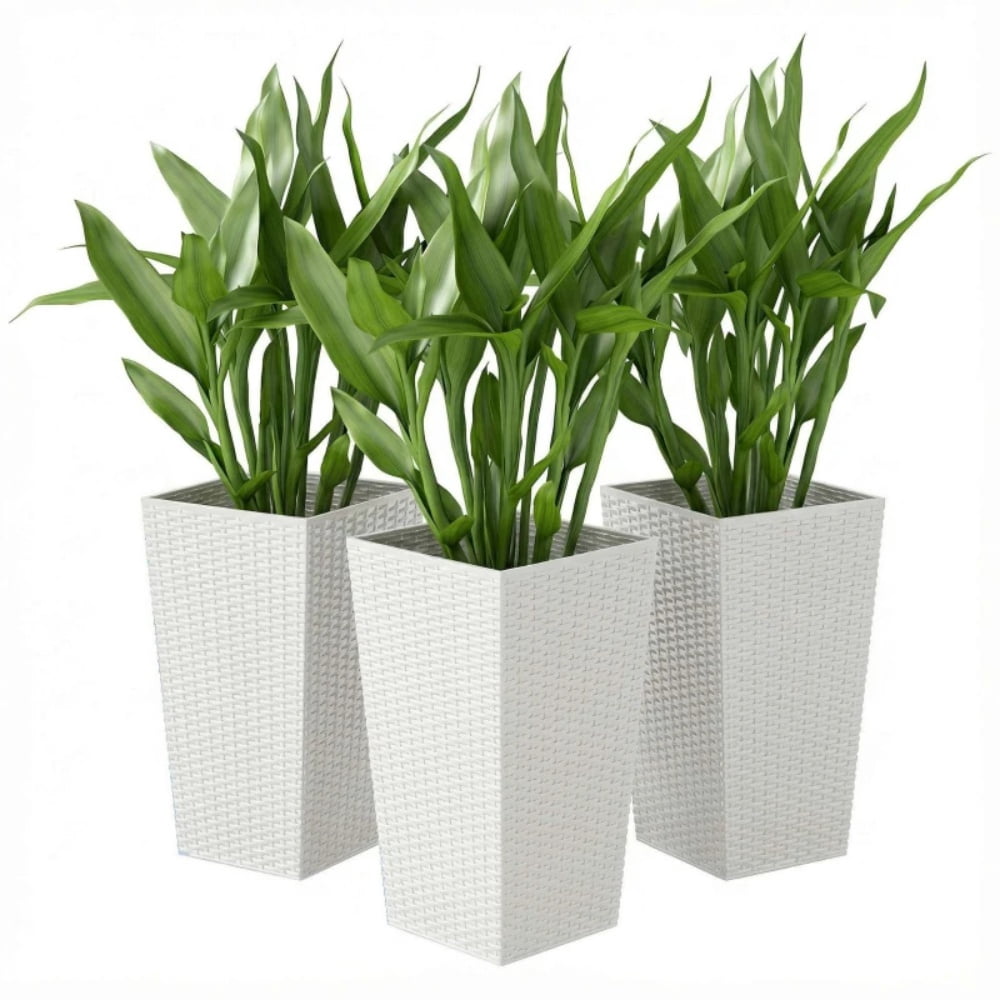 Flower Pot