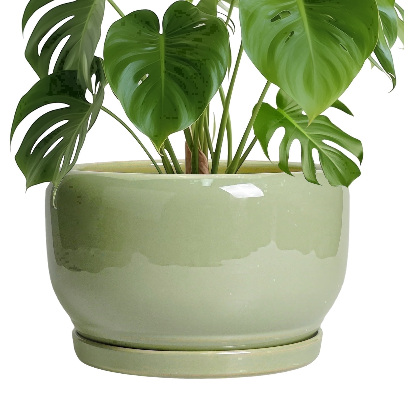 Ordivic 10 inch Glossy Green Ceramic Plant Pots with Drainage & Saucer, Large Round Pots for Monstera,Fiddle Leaf Fig,Entryway Decor