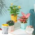 thumbnail image 1 of Product Flower Pots 2 | Pot Pot Resin Large Flower Balcony Patio Garden | Platform Competitor Title resin thickened design for outdoor and indoor use, 1 of 7