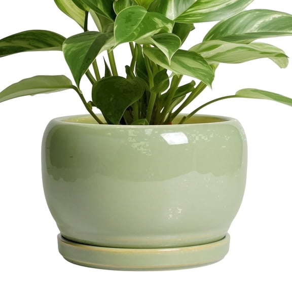 Ordivic 8 inch Glossy Green Ceramic Planters with Drainage & Saucer, Medium Round Flower Pot for Pothos Snake Plants Living Room Entryway Decor